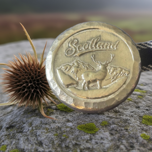 A handcrafted fine silver round with an engraved stag and mountain scene, resting on a lichen-covered rock next to a dried thistle in the Scottish Highlands.