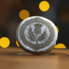 3g Solid Silver Fractionals - Celtic Thistle - Image 10